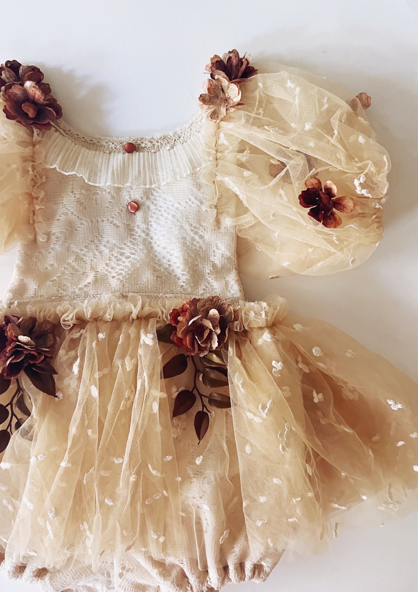 Anise