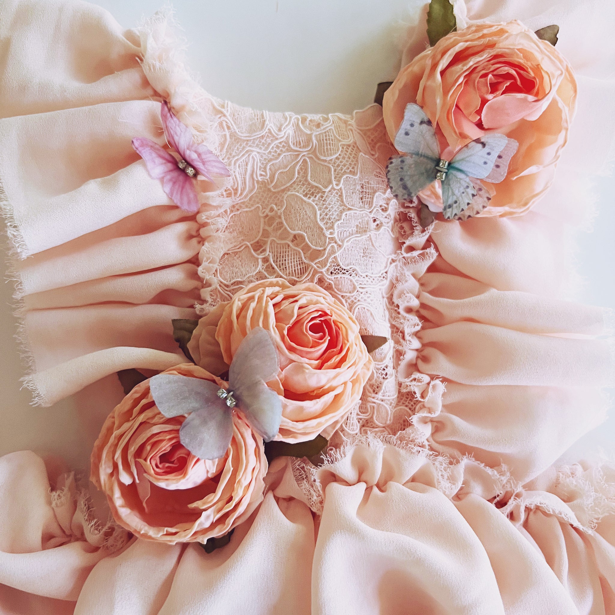 Peach English Rose